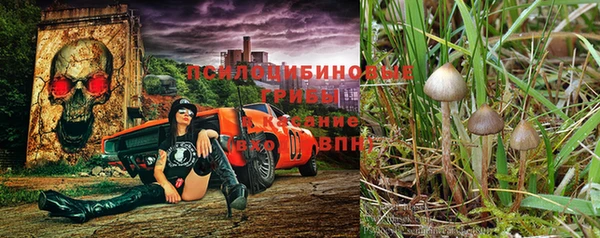 прущая мука Балабаново
