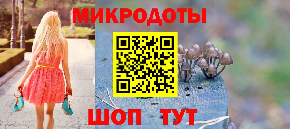 Псилоцибиновые грибы GOLDEN TEACHER  Галлюциногенные грибы мицелий  Ногинск  Вход с VPN 